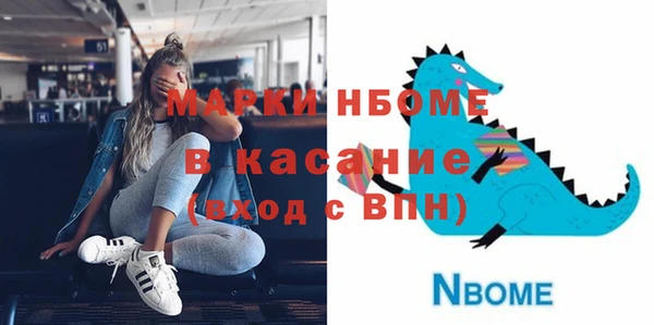 индика Арсеньев