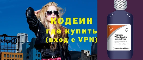 индика Арсеньев