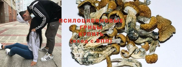 ПСИЛОЦИБИНОВЫЕ ГРИБЫ Армянск