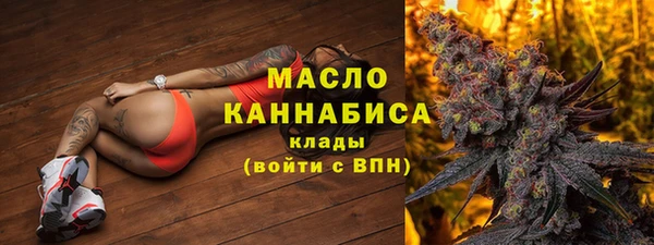 индика Арсеньев